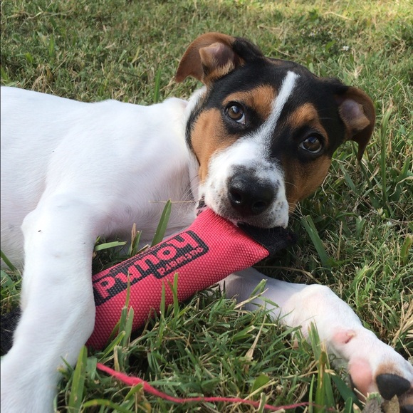 Meet your Posher, Daniela - Picture 1 of 1